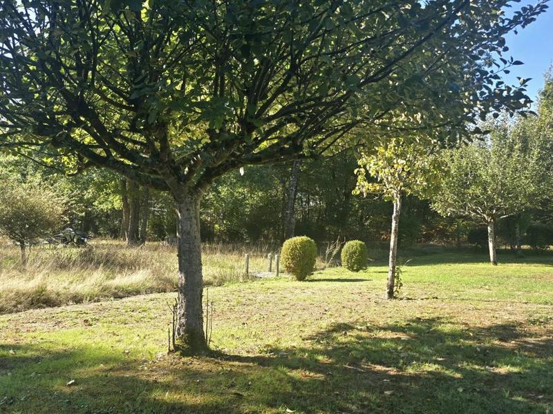 Maison - 305 m² - 9 pièces