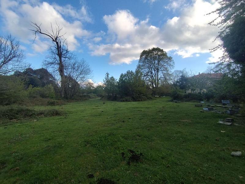 Terrain constructible - 3 000 m²