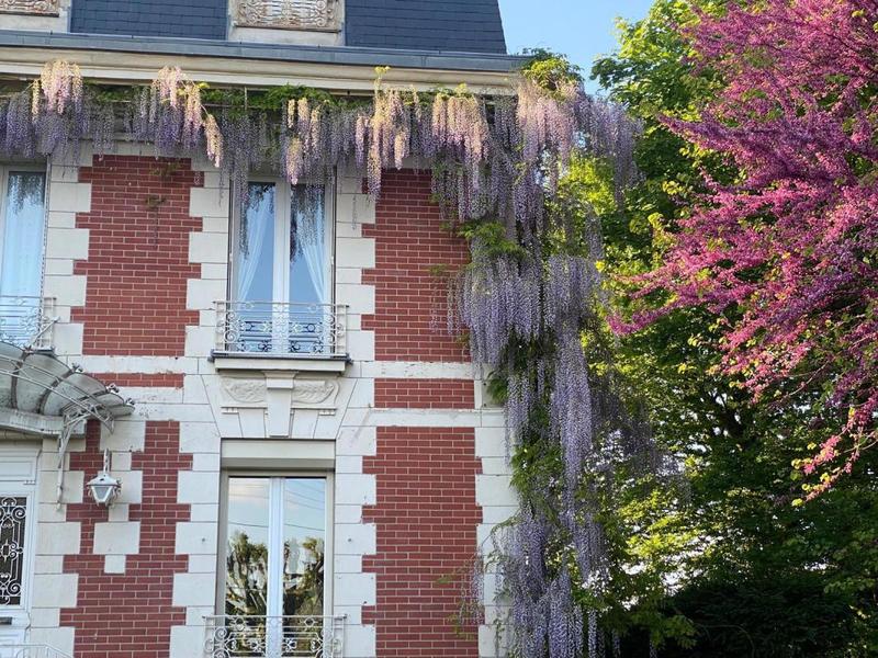 Propriété - 300 m² - 11 pièces