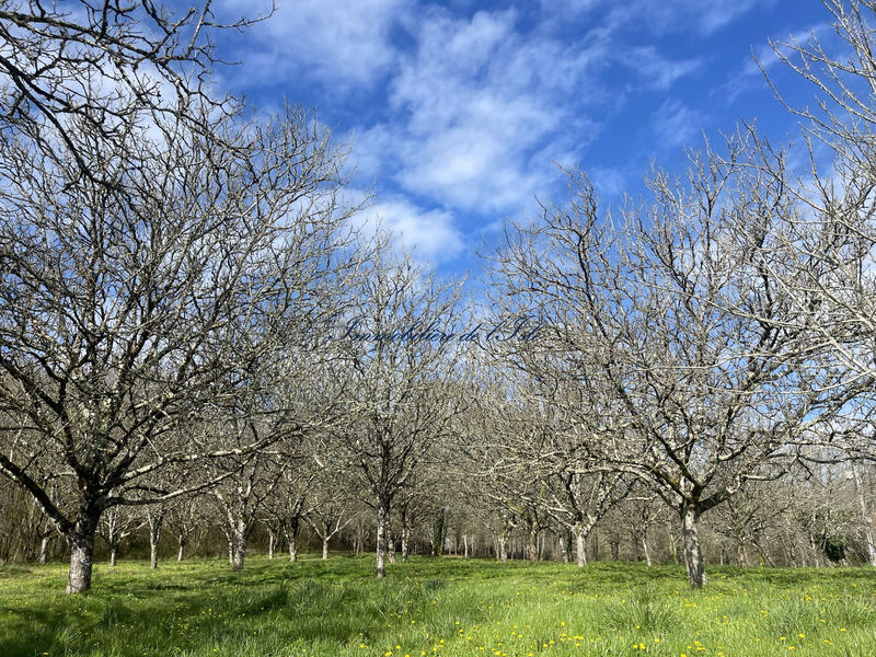 Maison - 155 m² - 7 pièces