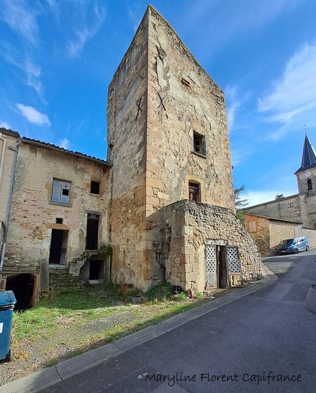 Maison en pierre - 175 m² - 10 pièces