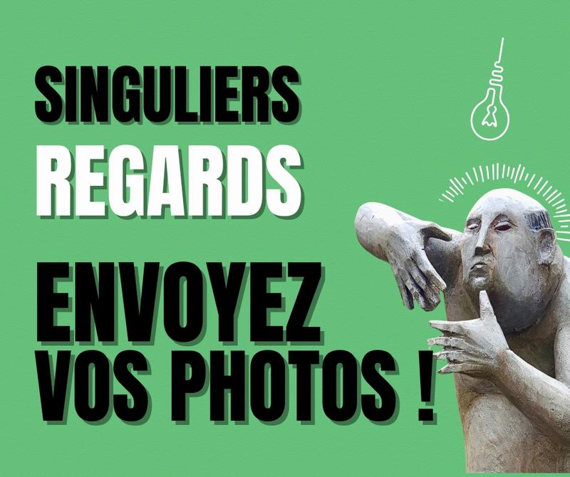 Singuliers Regards 5
