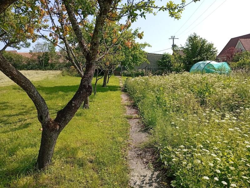 Maison - 165 m² - 7 pièces