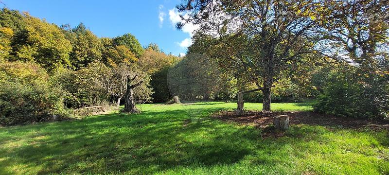 Maison - 195 m² - 7 pièces