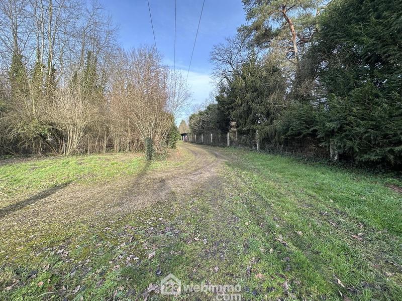 Terrain - 11 300 m²