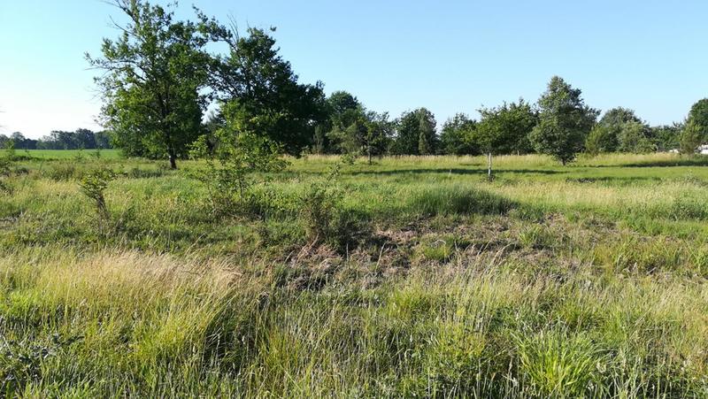 Terrain constructible - 1 217 m²