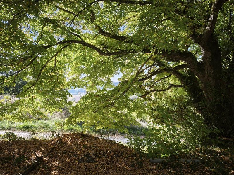 Terrain constructible - 7 424 m²