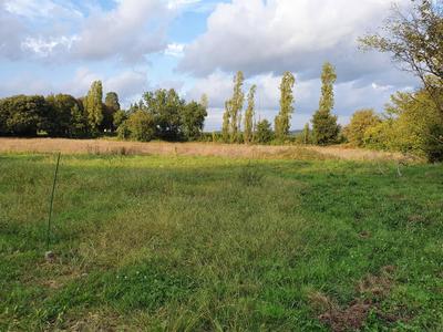 Terrain constructible - 1 190 m²