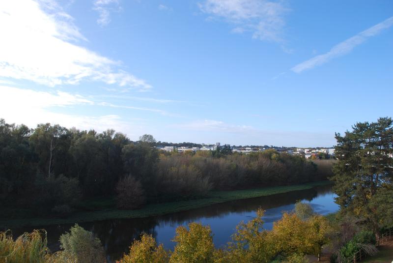 Appartement - 11 m² - 1 pièce