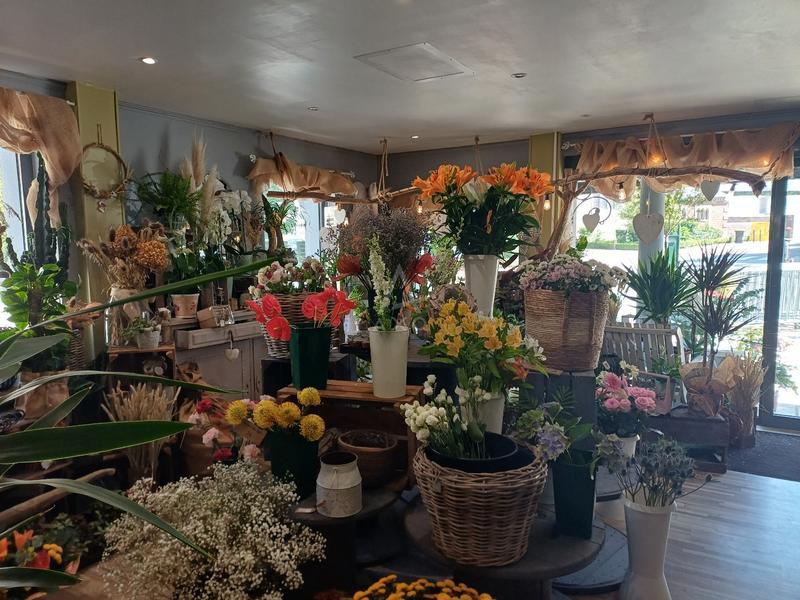 Fonds de commerce - 40 m²