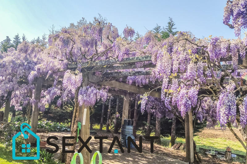 Maison - 600 m² - 10 pièces