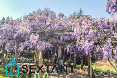 Maison - 600 m² - 10 pièces