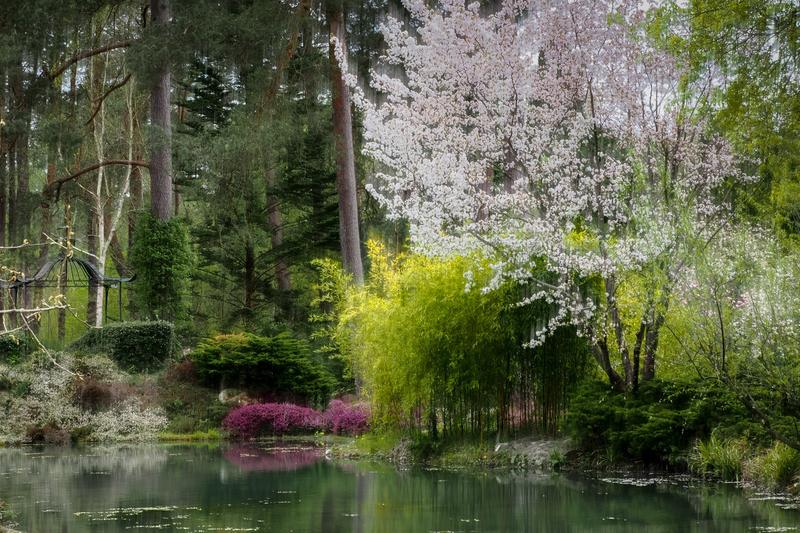 Ateliers photos de jardins - niveau débutant