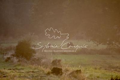 Propriété - 800 m² - 25 pièces