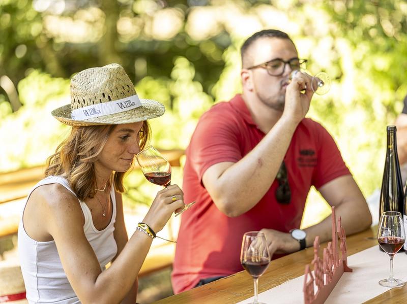 Je découvre les vins d'Alsace