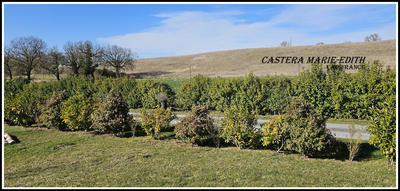 Terrain constructible - 741 m²