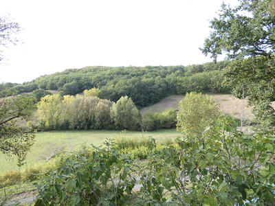 Maison - 220 m² - 9 pièces