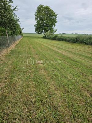 Terrain constructible - 1 035 m²