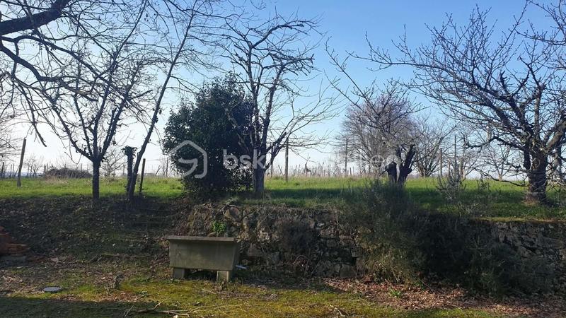 Maison - 128 m² - 5 pièces