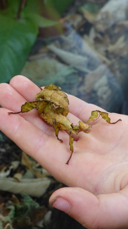 Fête de l'Eau et de la Biodiversité
