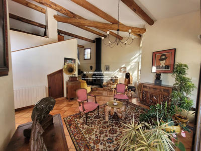 Viager - Mas - 300 m² - 9 pièces