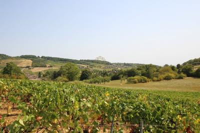 Propriété - 292 m² - 13 pièces