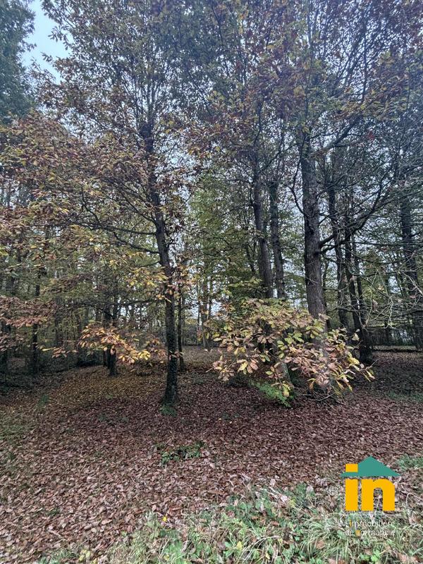 Maison de campagne - 185 m² - 6 pièces