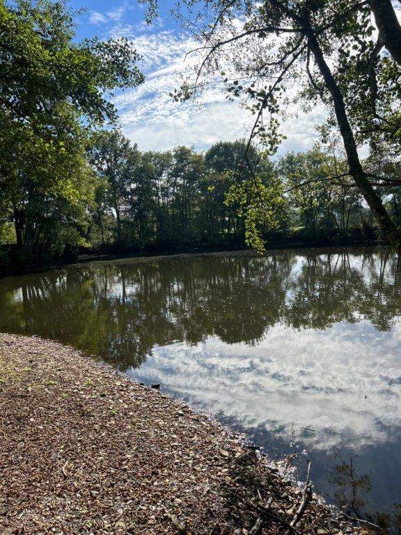 Propriété - 8 200 m² - 1 pièce