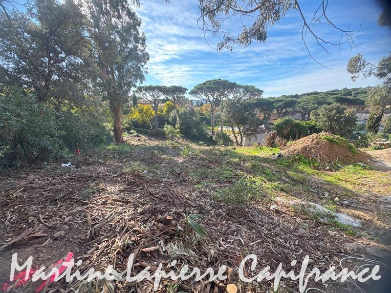 Terrain constructible - 1 630 m²