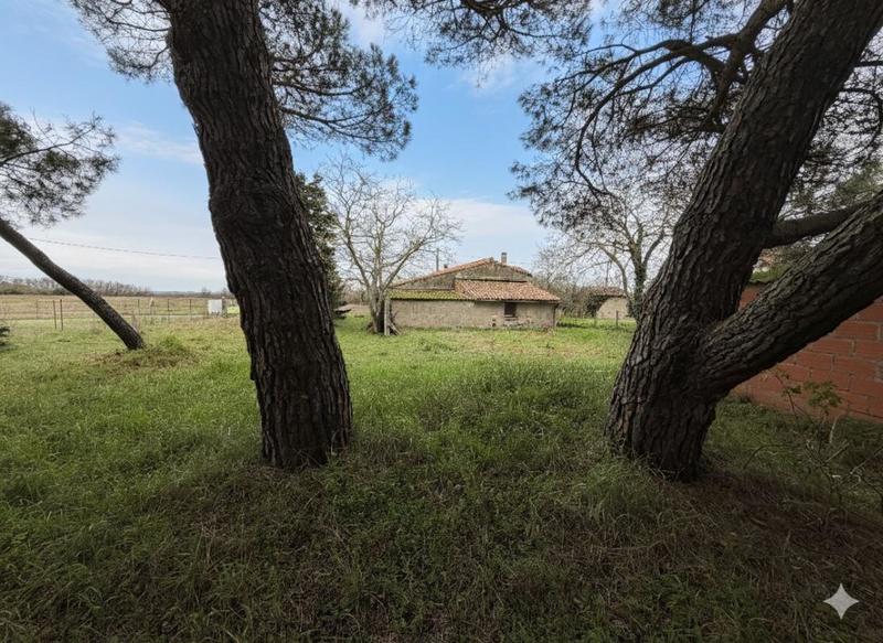 Maison - 61 m² - 2 pièces