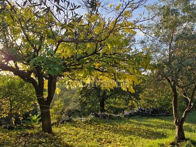 Maison - 130 m² - 10 pièces