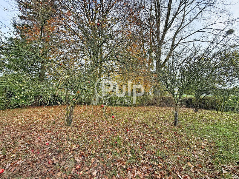 Maison - 120 m² - 7 pièces