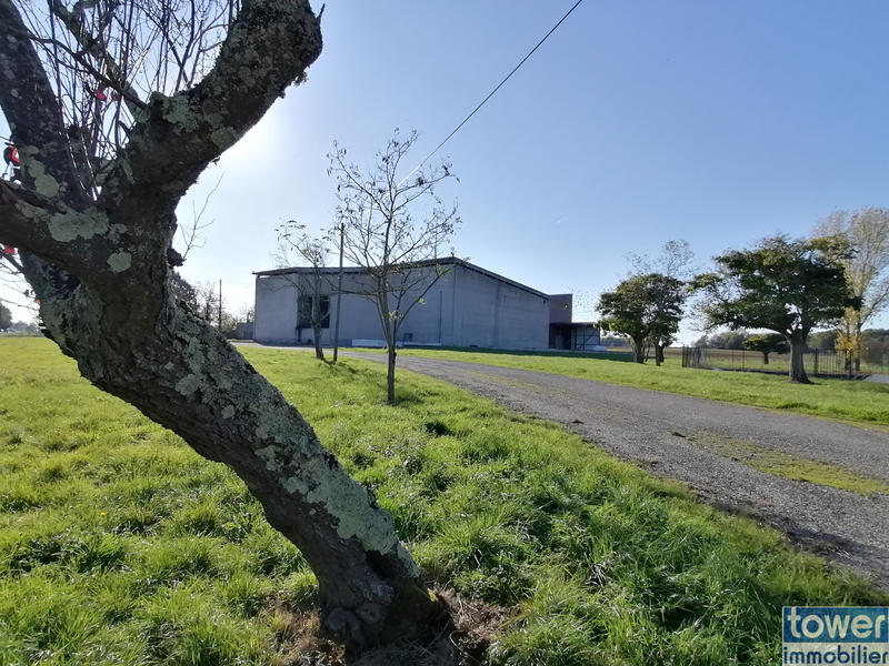 Local d'activités - 2 925 m²