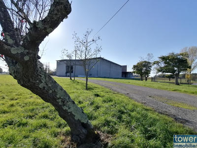 Local d'activités - 2 925 m²