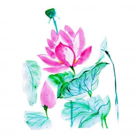 Reiki Hypnose du Mas Bel Loc