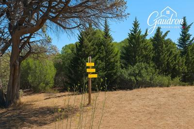 Terrain de loisirs - 6 070 m²