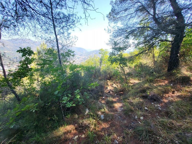 Terrain - 16 415 m²