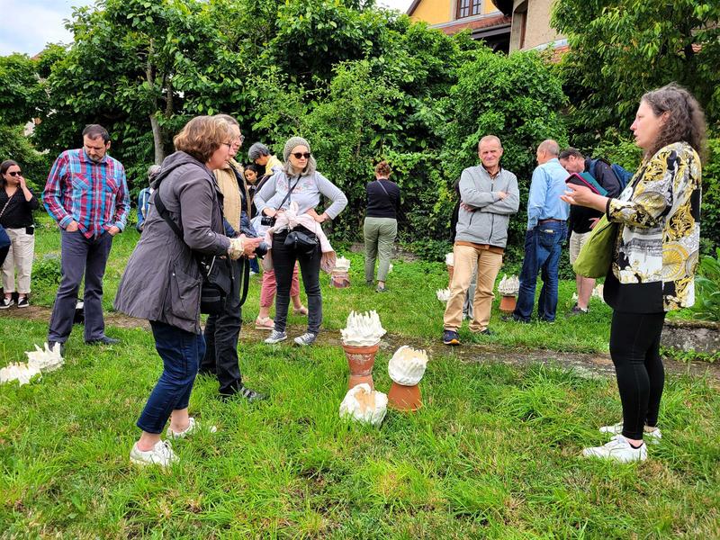 Activité : visite accompagnée de la Few