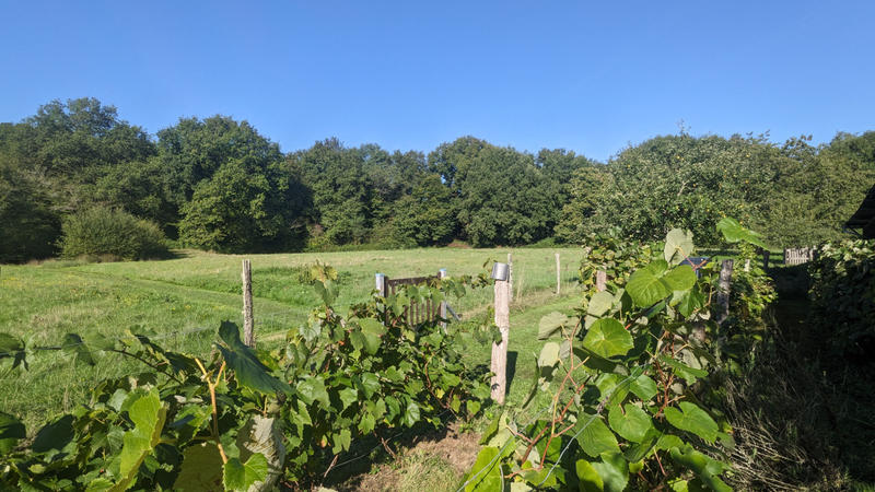 Maison - 242 m² - 5 pièces