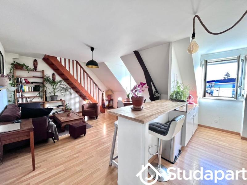 Appartement - 50 m² - 2 pièces