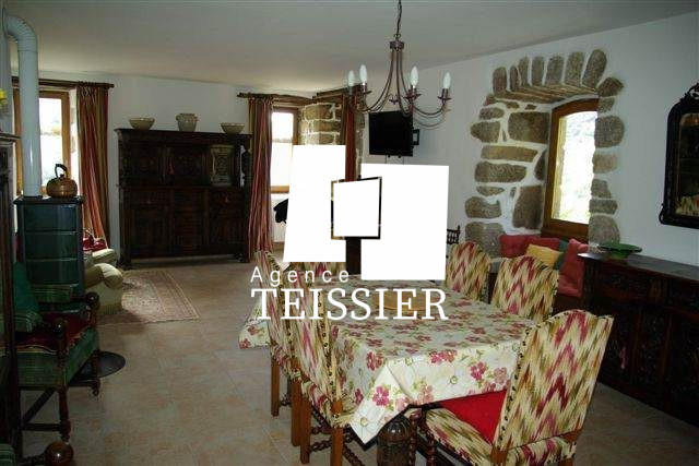 Château - 400 m² - 12 pièces