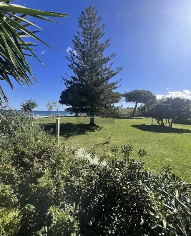 Appartement - 31 m² - 1 pièce