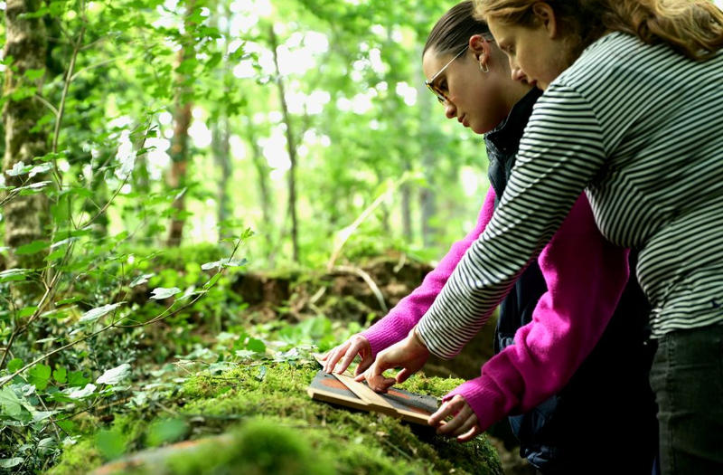 Châteaux en fête - Château de Tiregand