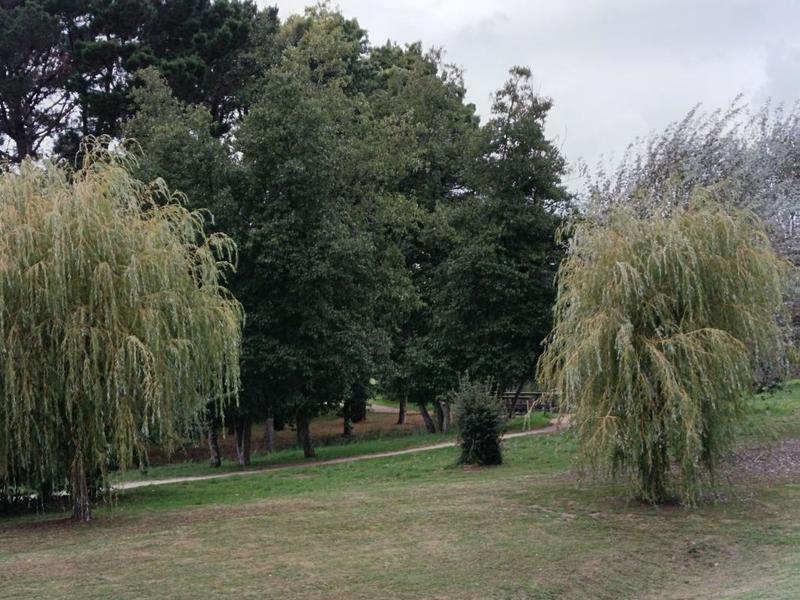 Studio - 26 m² - 2 pièces