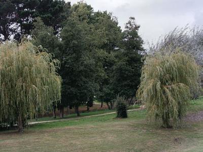 Studio - 26 m² - 2 pièces