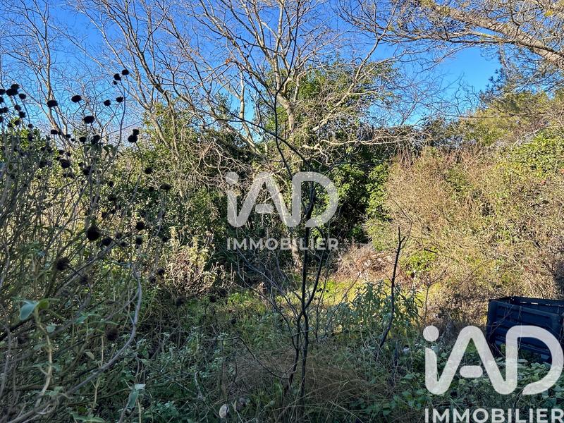 Maison - 51 m² - 2 pièces