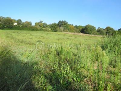 Terrain - 6 038 m²