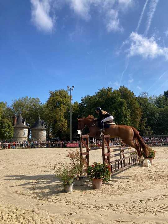 Les coulisses de la Journée du Cheval