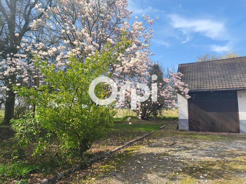 Maison - 153 m² - 5 pièces