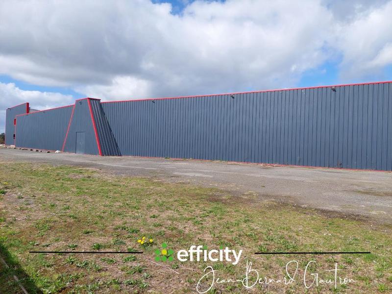 Bureau - 1 366 m² - 9 pièces